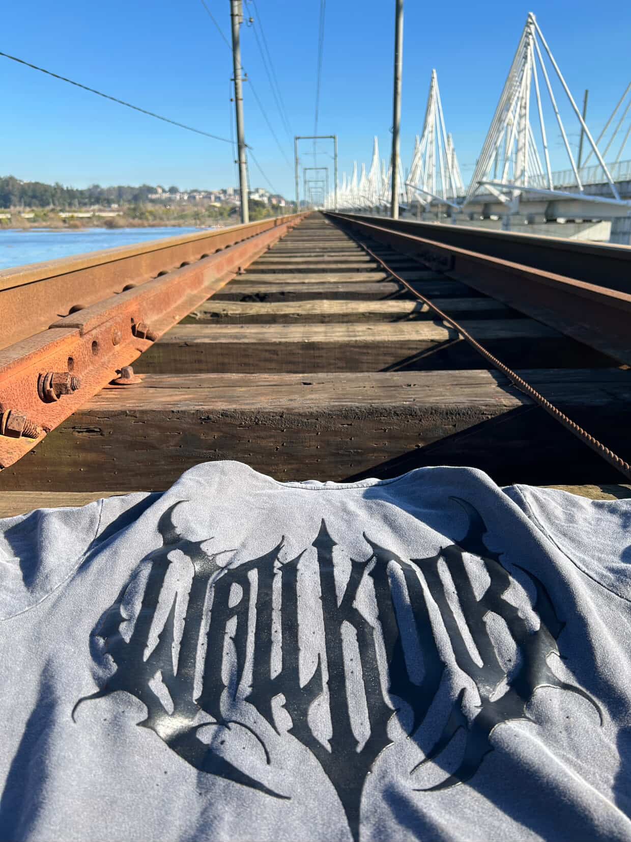 01 DROP HOODIE DARKLORD